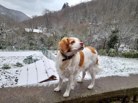 Coustorgues sous la neige 1avril2022 2 15bamby